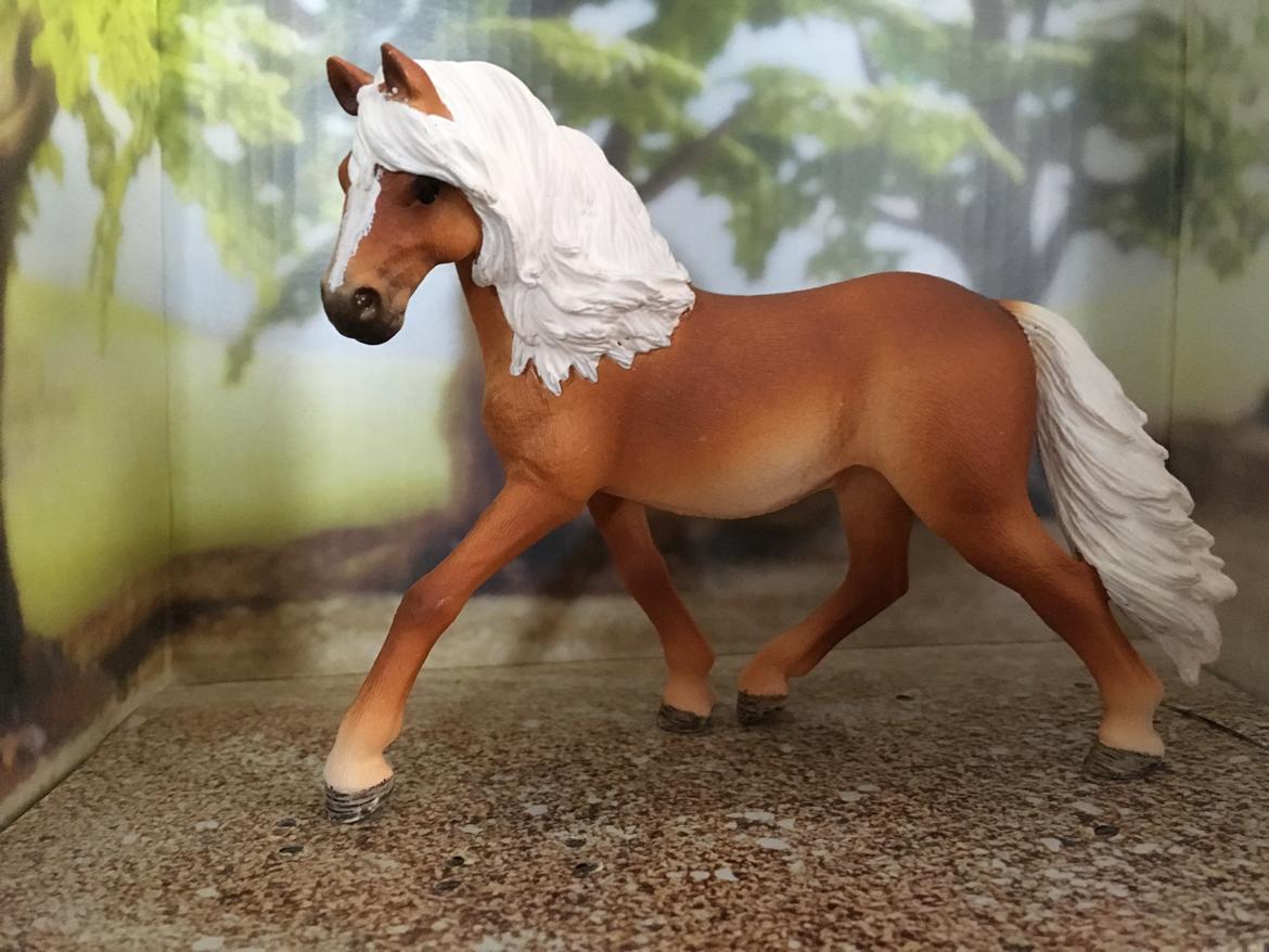 Mine Schleich Dyr - Navn: Ainoa Race: Andalusier Køn: Hoppe Alder: 7 år billede 288