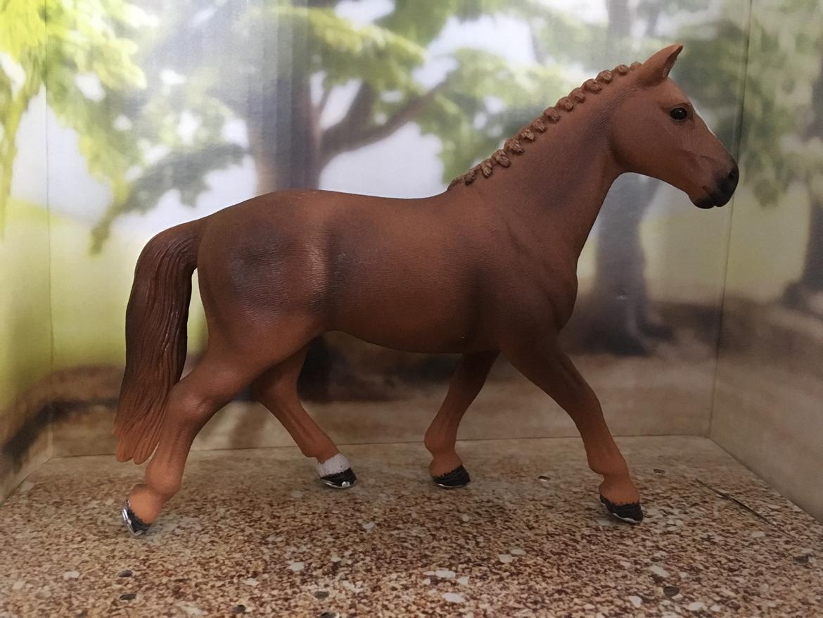 Mine Schleich Dyr - Navn: Ace Of Dimonds Race: Hannoveraner Køn: Hoppe Alder: 8 år billede 291