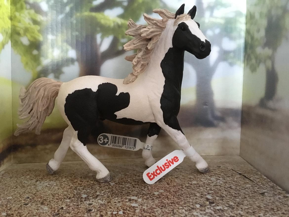 Mine Schleich Dyr - Navn: Quintino Race: Pinto Køn: Hingst Alder: 6 år billede 294