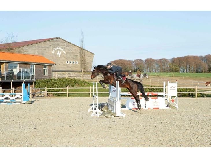 {{currentPhoto.altText}} billede {{currentPhoto.number}}