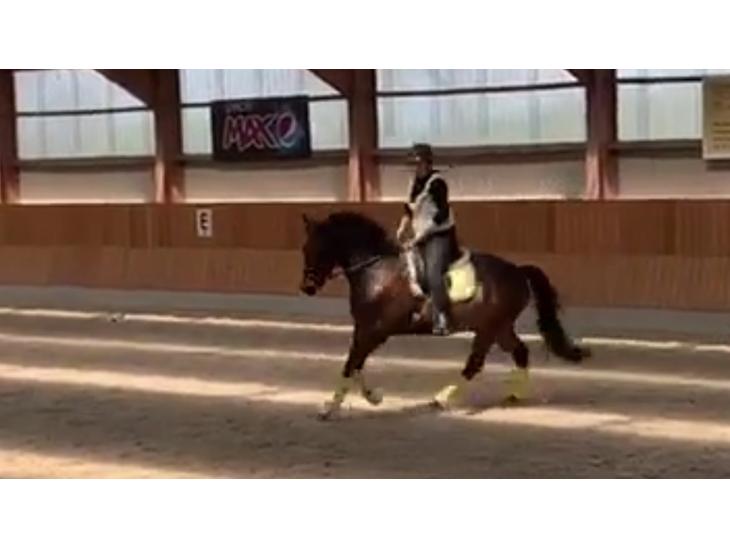 {{currentPhoto.altText}} billede {{currentPhoto.number}}