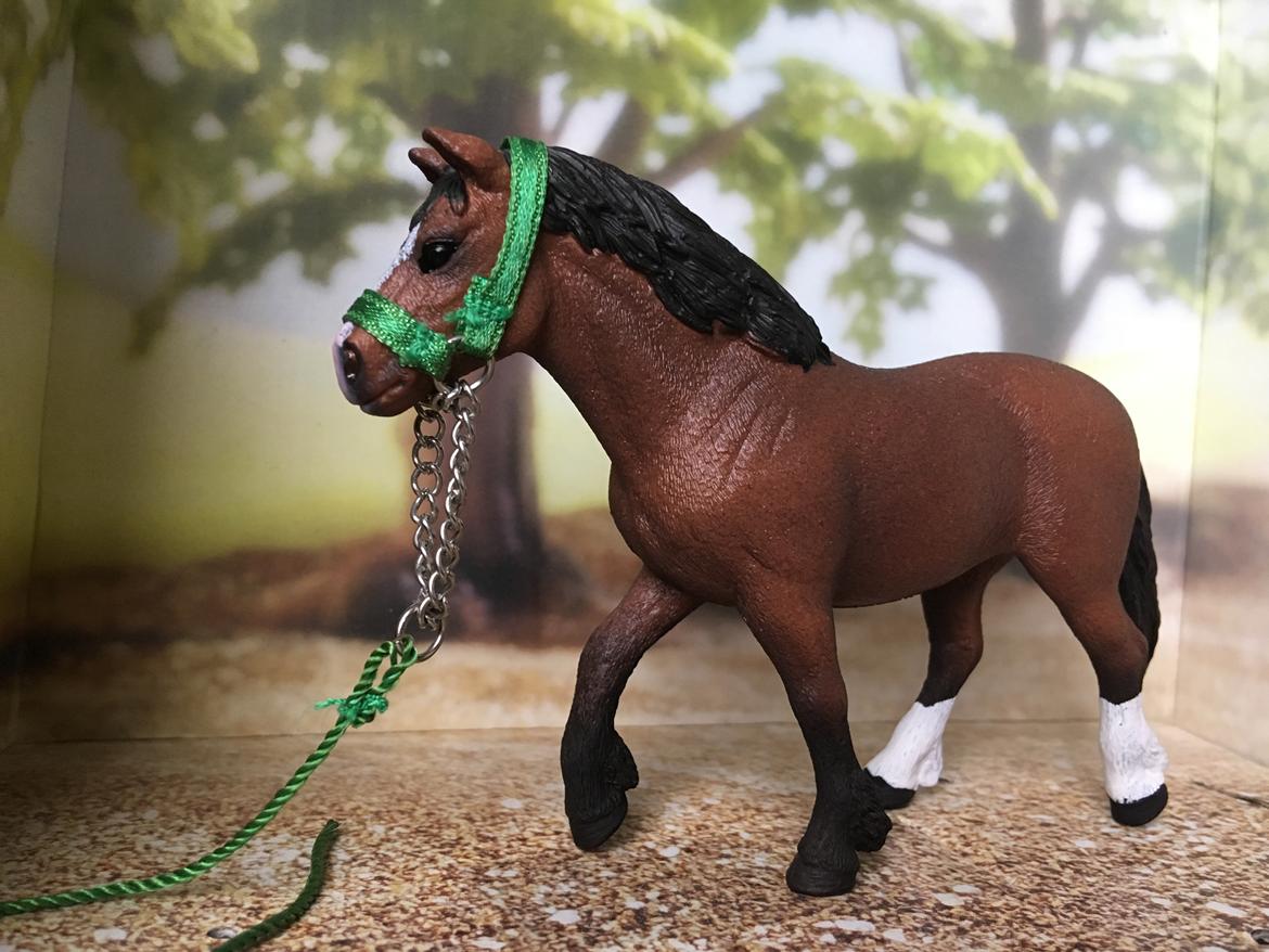 Mine Schleich Dyr - Navn: Dolly, Race: Welsh Cob, Køn: Hoppe, Alder: 16 år billede 299