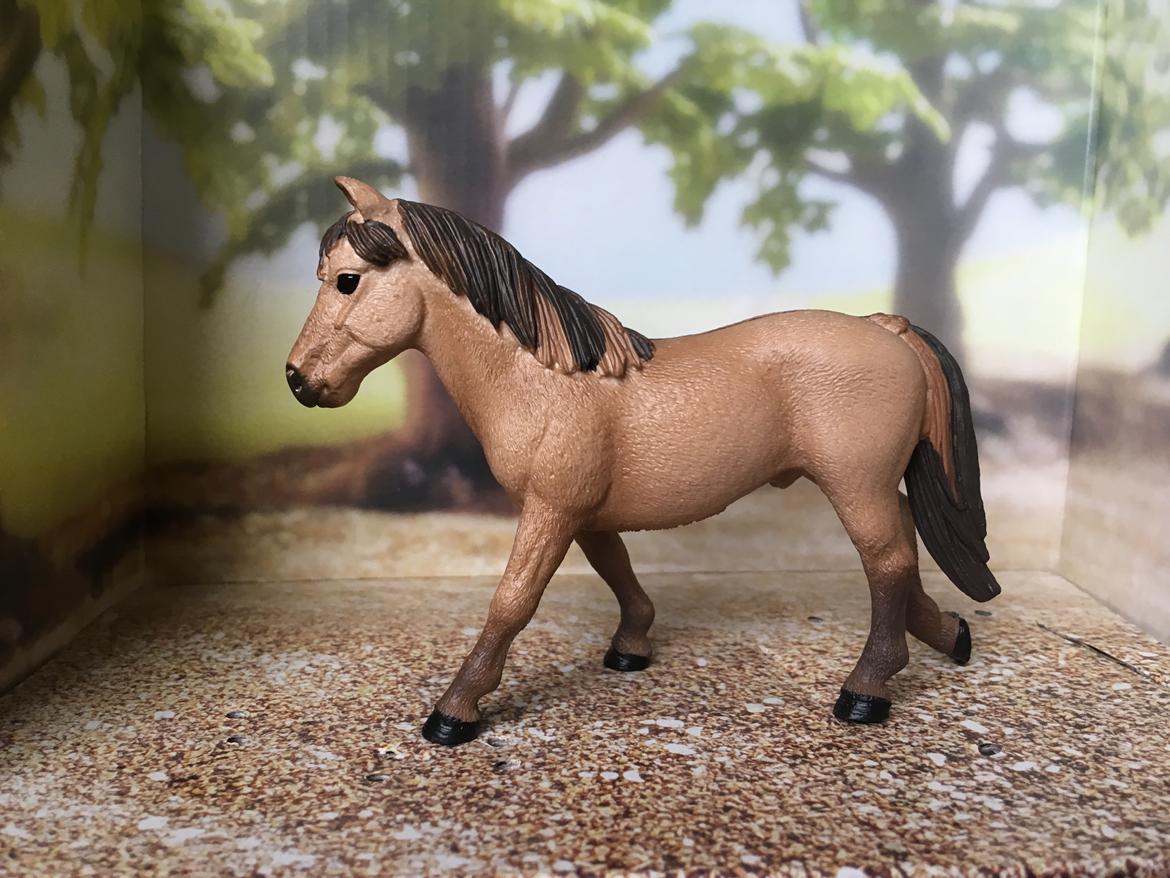 Mine Schleich Dyr - Navn: Toffifee Race: Dülmen pony. Køn: Vallak, Alder: 15 år  billede 298