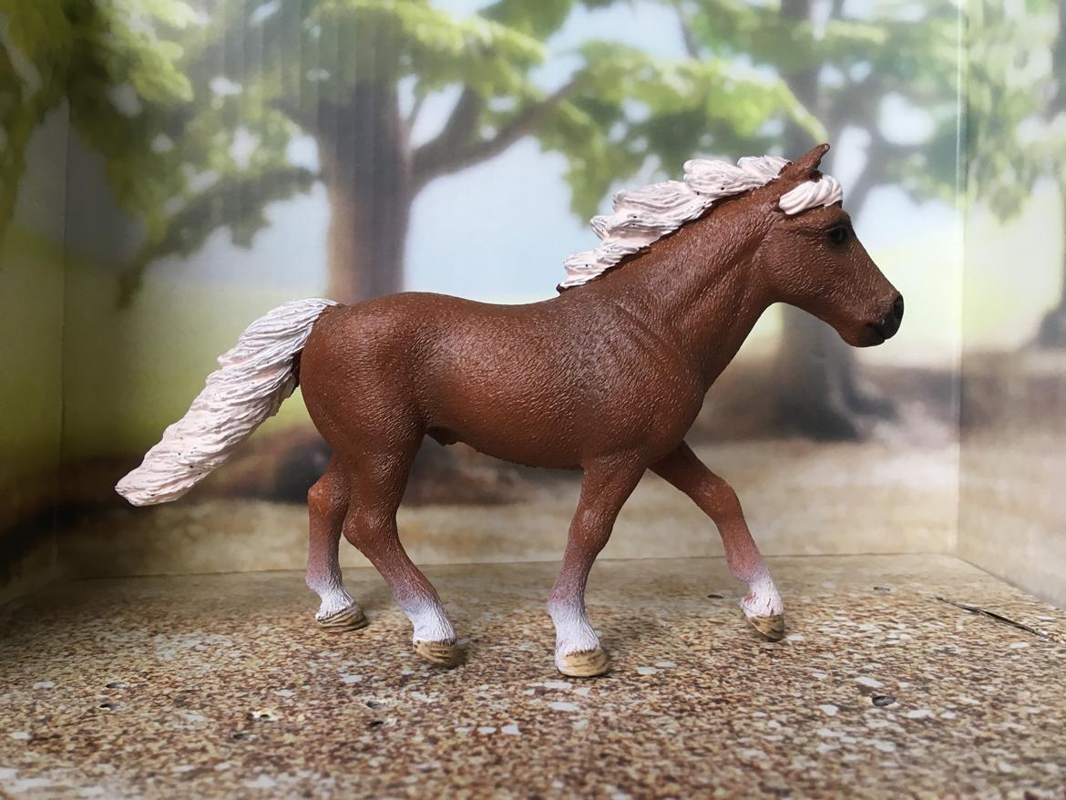 Mine Schleich Dyr - Navn: Dumle, Race: Dülmen pony, Køn: Vallak, Alder: 7 år billede 301