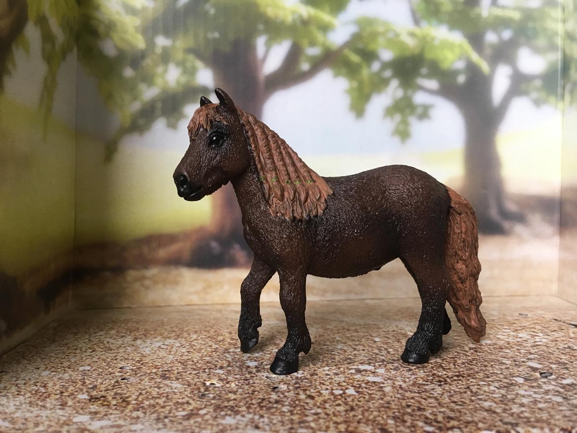 Mine Schleich Dyr - Navn: Funda, Race: Shetlænder, Køn: Hoppe, Alder: 11 år billede 300
