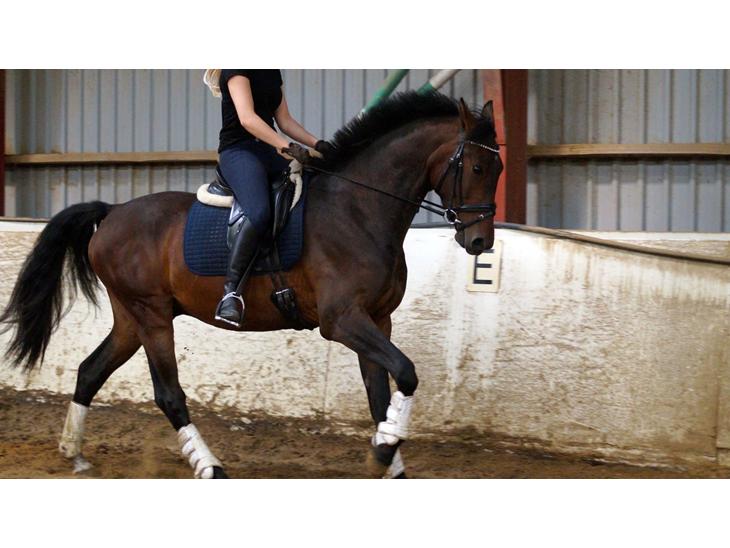 {{currentPhoto.altText}} billede {{currentPhoto.number}}