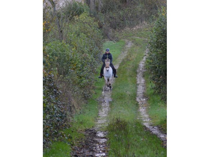 {{currentPhoto.altText}} billede {{currentPhoto.number}}