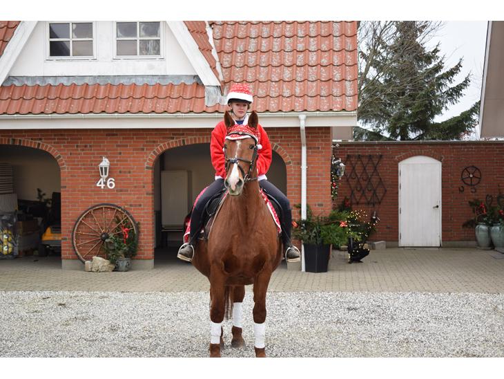 {{currentPhoto.altText}} billede {{currentPhoto.number}}