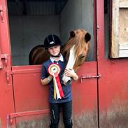 Det er min seje pony