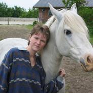 Vores tidligere heste