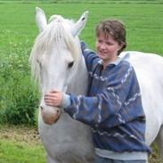 Vores tidligere heste