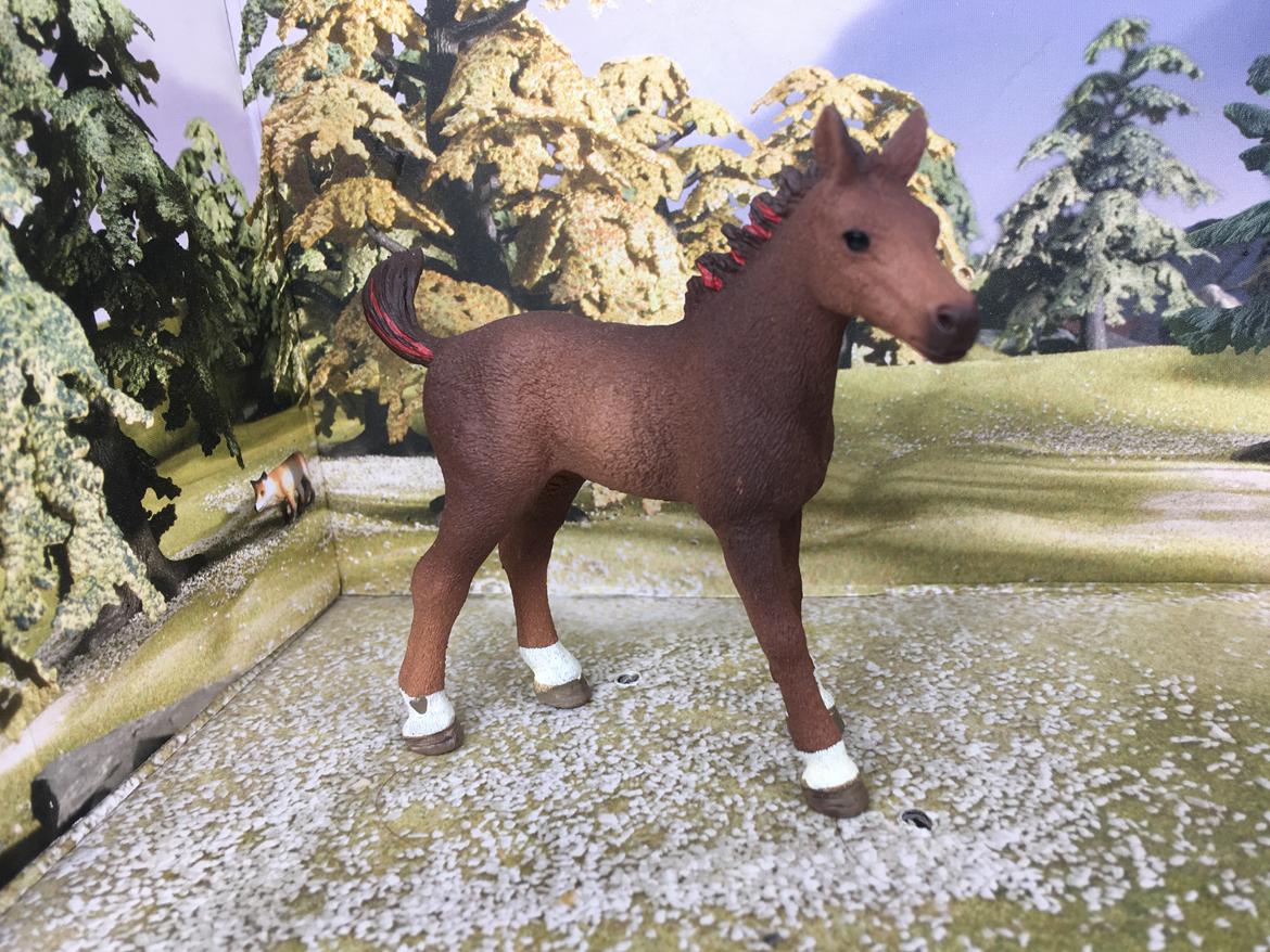 Mine Schleich Dyr billede 333