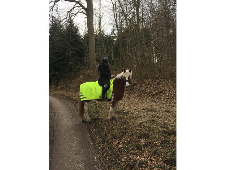 {{currentPhoto.altText}} billede {{currentPhoto.number}}