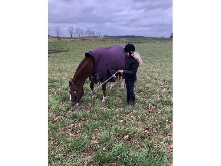 {{currentPhoto.altText}} billede {{currentPhoto.number}}