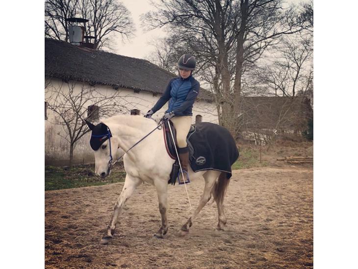 {{currentPhoto.altText}} billede {{currentPhoto.number}}