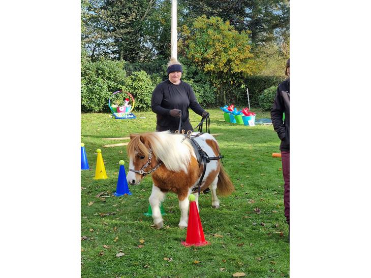 {{currentPhoto.altText}} billede {{currentPhoto.number}}