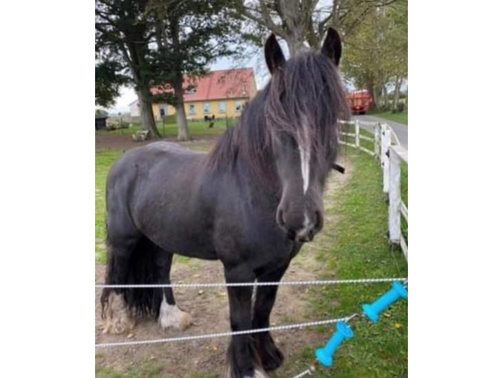 {{currentPhoto.altText}} billede {{currentPhoto.number}}