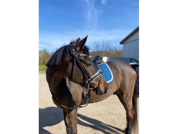 {{currentPhoto.altText}} billede {{currentPhoto.number}}