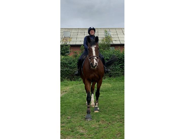 {{currentPhoto.altText}} billede {{currentPhoto.number}}