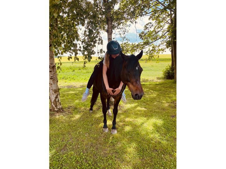 {{currentPhoto.altText}} billede {{currentPhoto.number}}