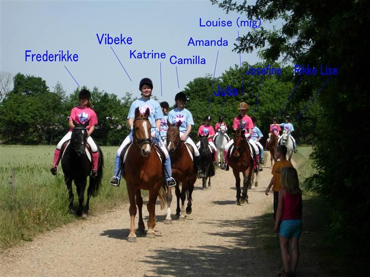 Kvadrille ridning  billede 1