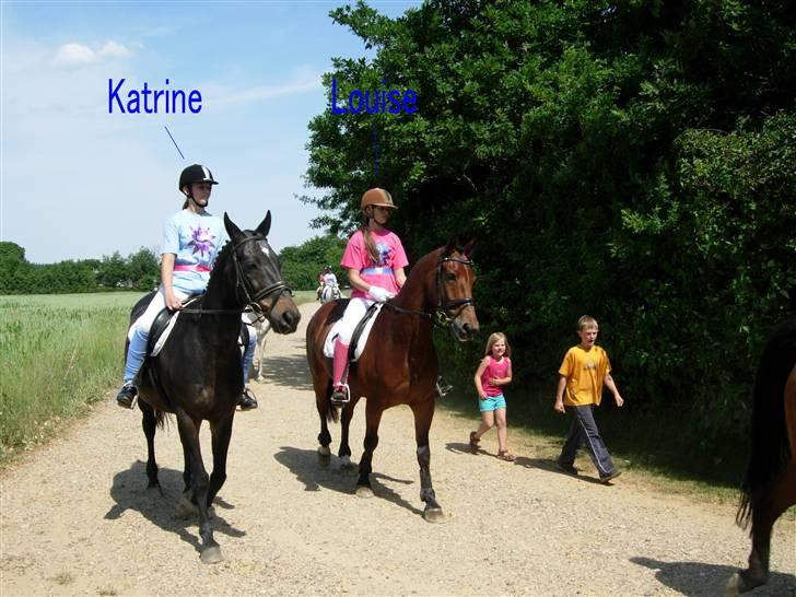 Kvadrille ridning  billede 2