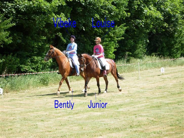 Kvadrille ridning  billede 3