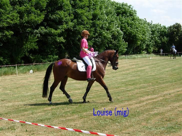 Kvadrille ridning  billede 5
