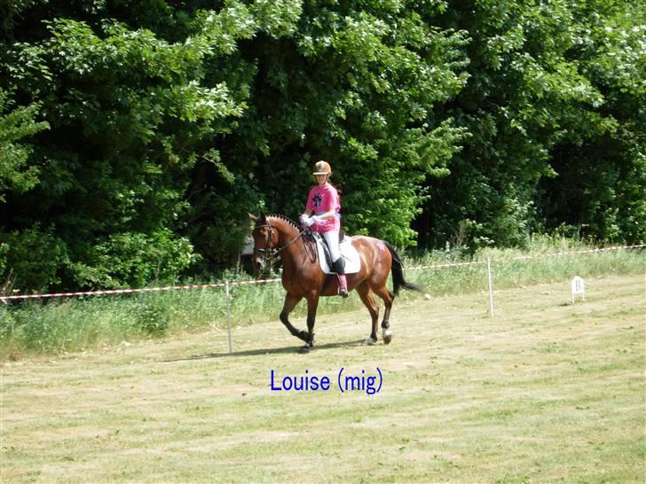 Kvadrille ridning  billede 6