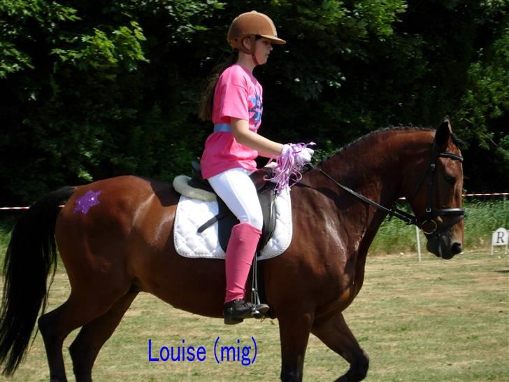 Kvadrille ridning  billede 7