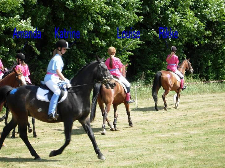 Kvadrille ridning  billede 8