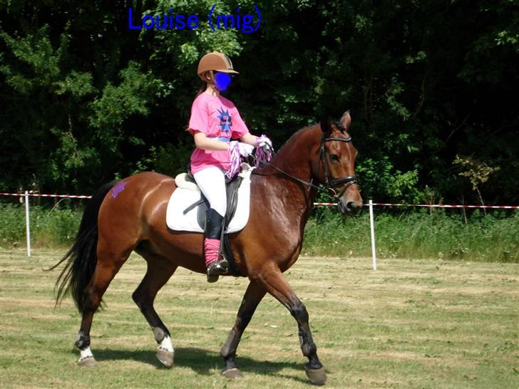 Kvadrille ridning  billede 9