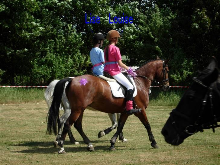Kvadrille ridning  billede 10