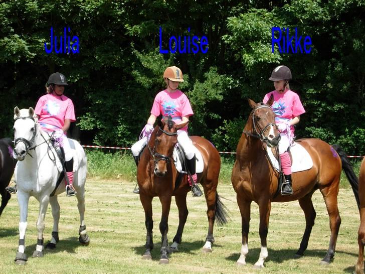 Kvadrille ridning  billede 11