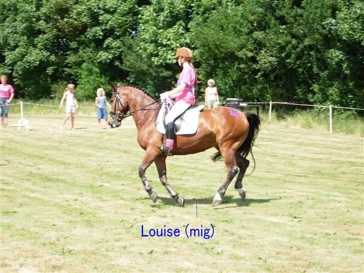 Kvadrille ridning  billede 12