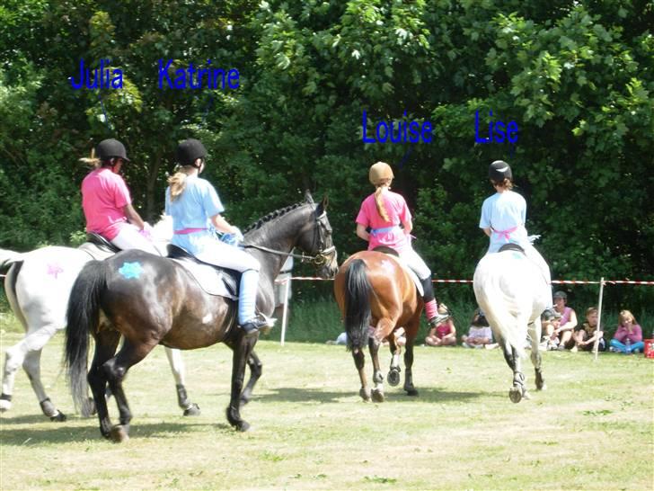 Kvadrille ridning  billede 13