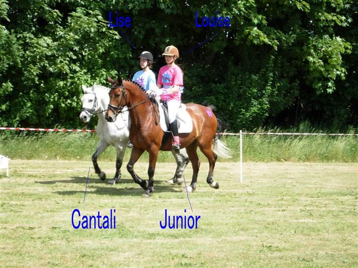 Kvadrille ridning  billede 14
