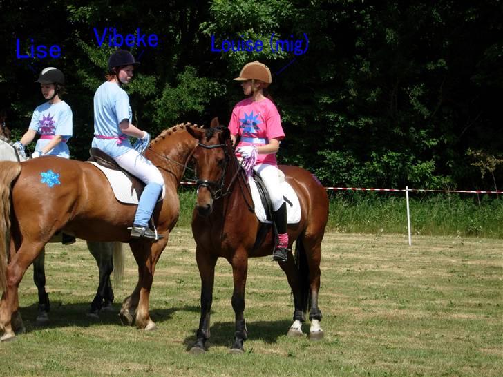 Kvadrille ridning  billede 15