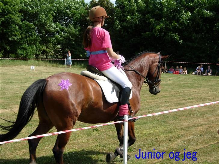 Kvadrille ridning  billede 16