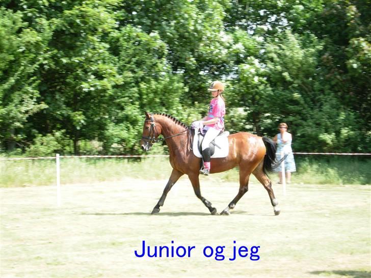 Kvadrille ridning  billede 17