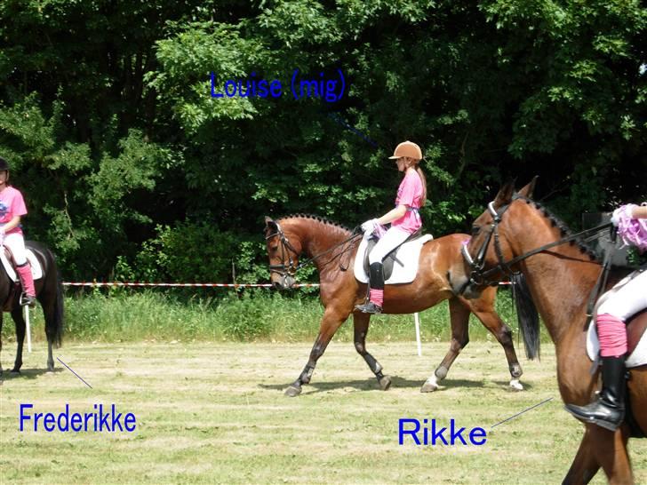 Kvadrille ridning  billede 18