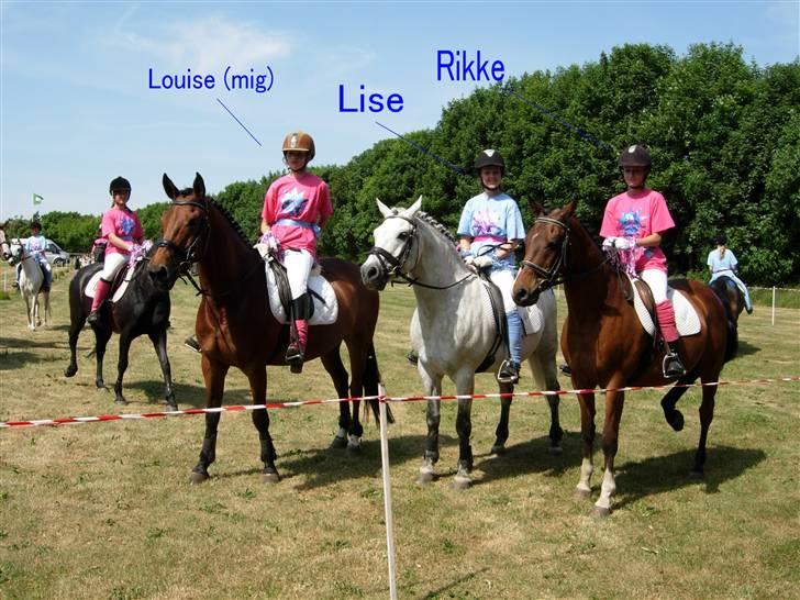 Kvadrille ridning  billede 19