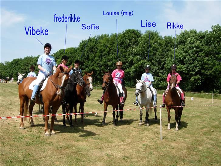 Kvadrille ridning  billede 20