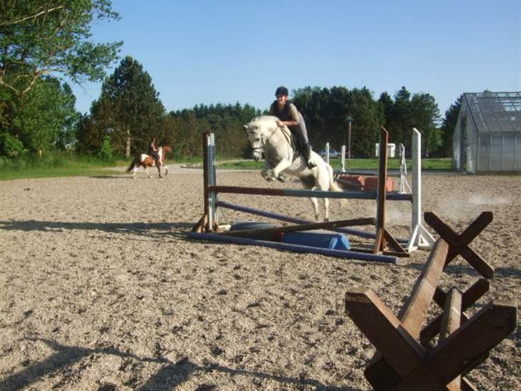 {{currentPhoto.altText}} billede {{currentPhoto.number}}