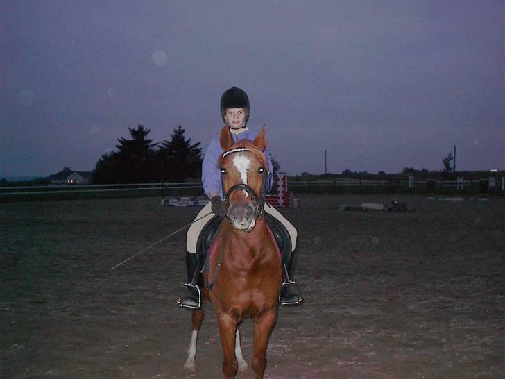 Heste jeg rider på eller har gjordt :)  - Min tidligere halvpart flicka billede 17