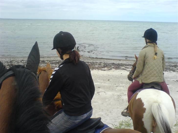 Ferie i Fjellerup 2007 - Første dag til havet billede 4