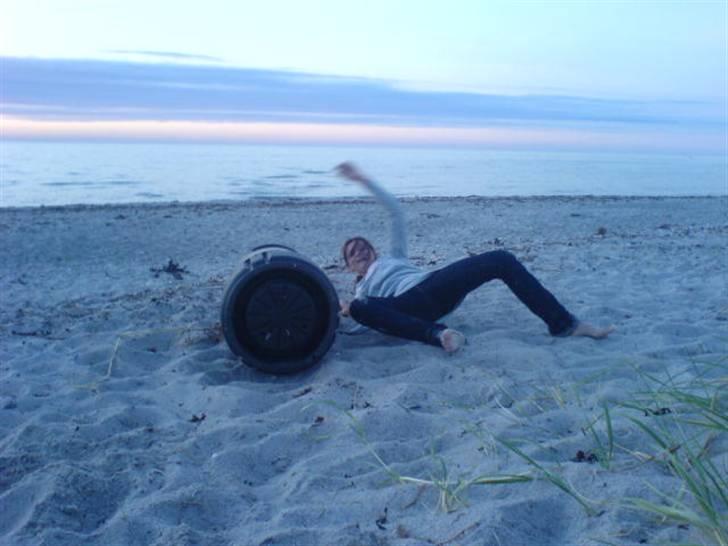 Ferie i Fjellerup 2007 - Ally forelskede sig i skralde spandende billede 13