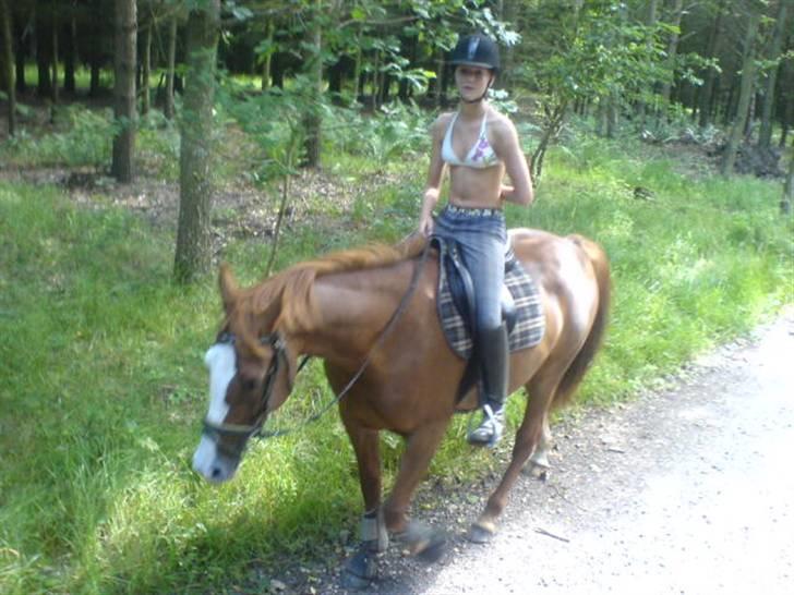 Ferie i Fjellerup 2007 - Ally the Snegl med tømmermænd billede 14