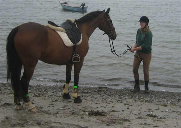 Ferie i Fjellerup 2007 - Kom nu i vandet Chester billede 15