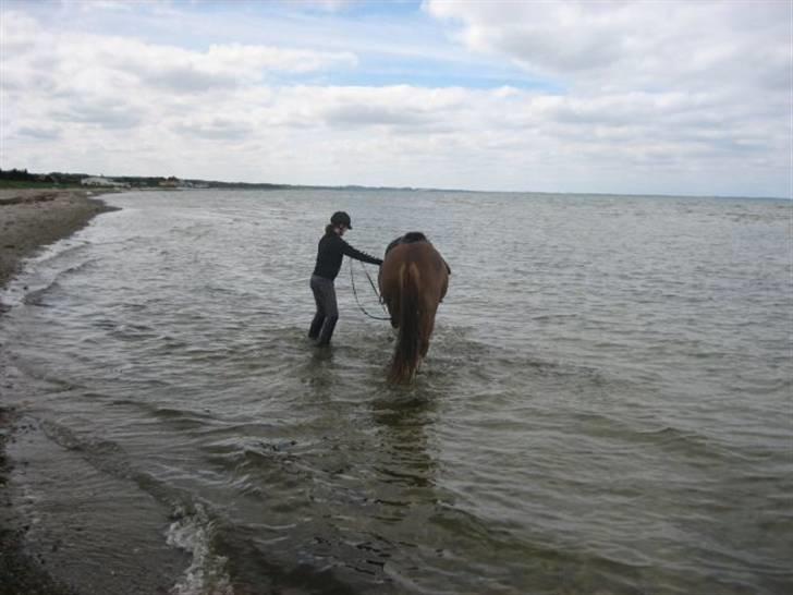 Ferie i Fjellerup 2007 - Så let det gik billede 17